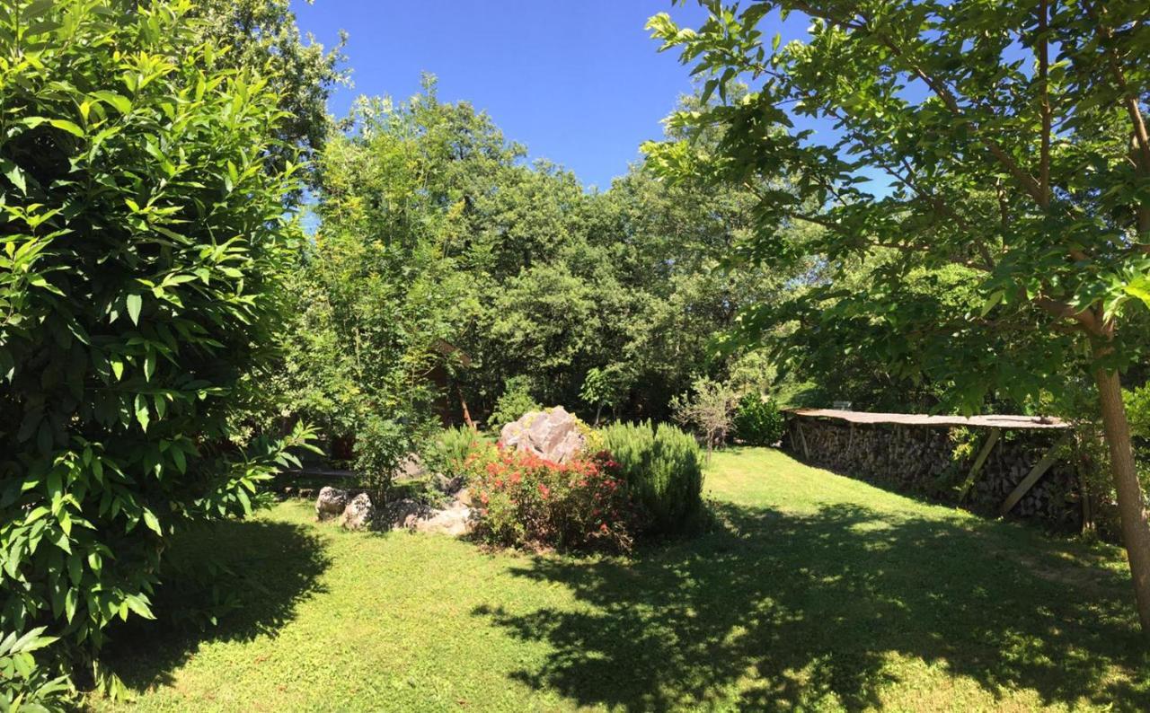 Ecolodge Les Sentiers Du Lac - Domaine De La Gaia 소레즈 외부 사진